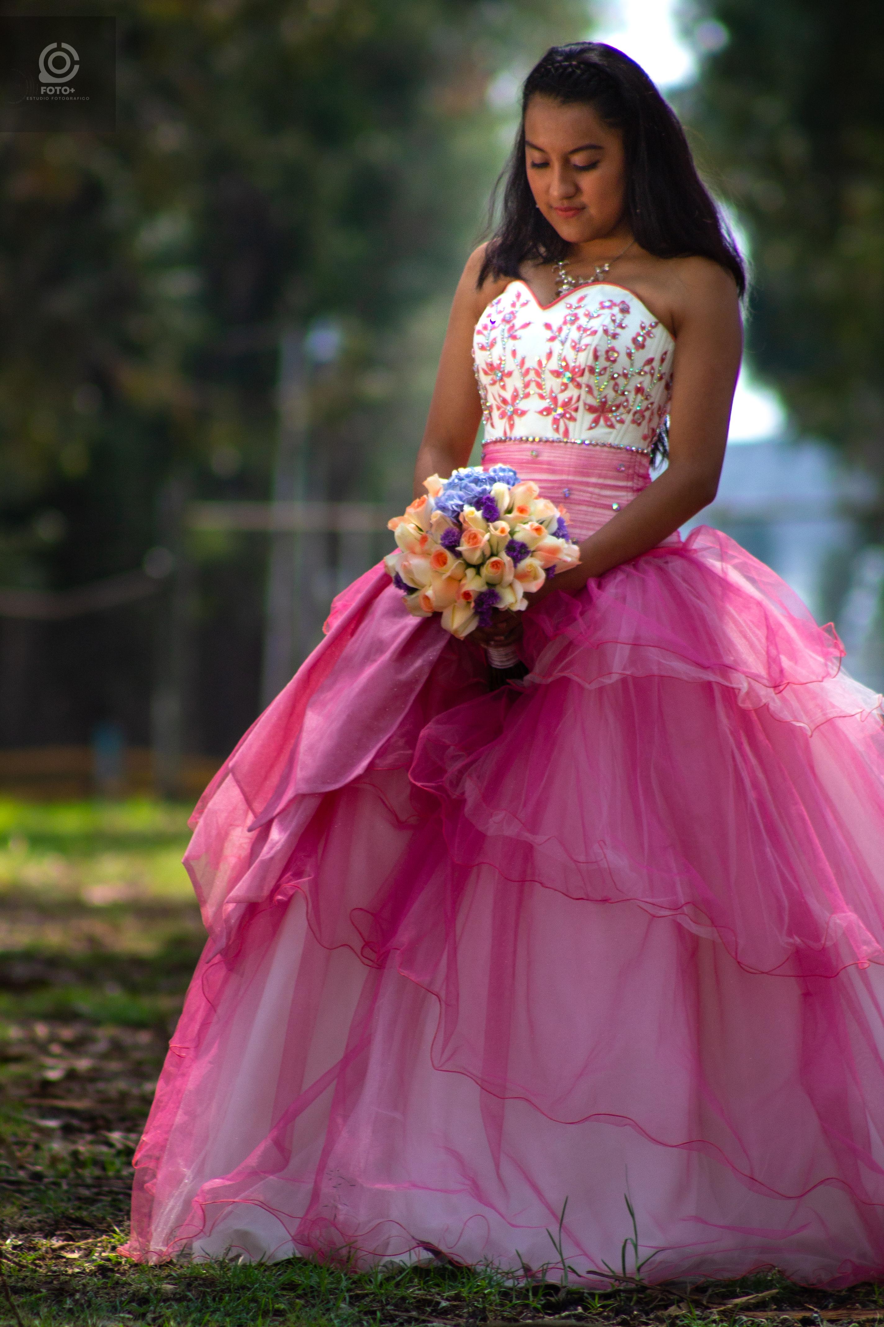 Imagen 14