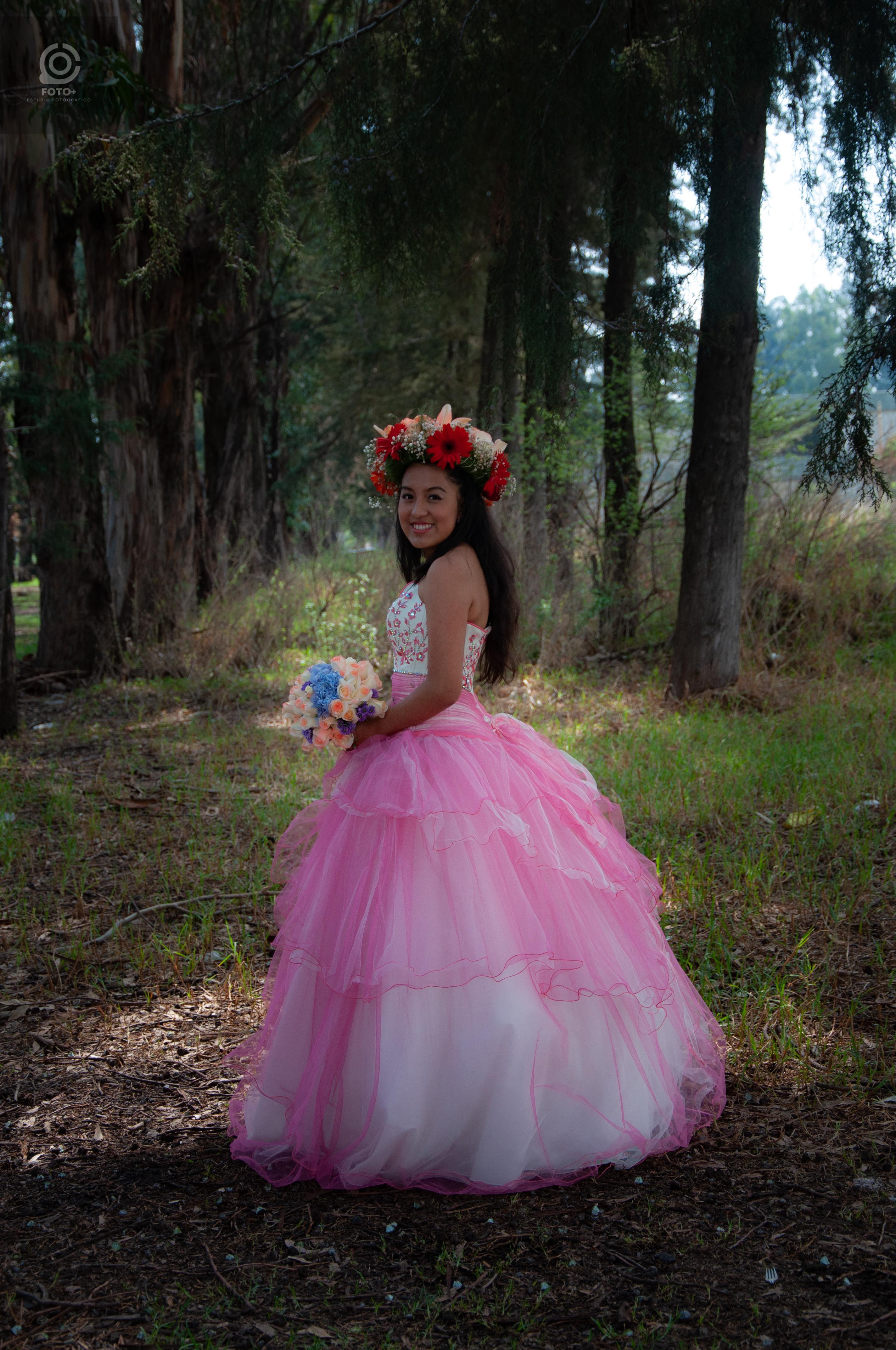 Imagen 16